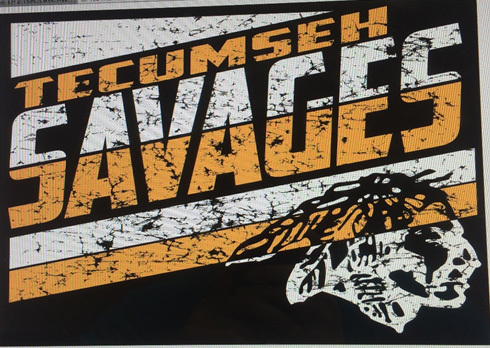 Orders for school shirts due soon