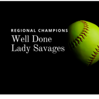 Fastpitch players honored
